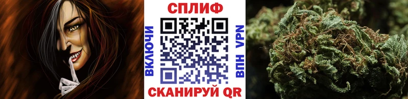 Как найти закладки Белинский Альфа ПВП  Бошки Шишки  блэк спрут ТОР  ГАШИШ  МЕФ 