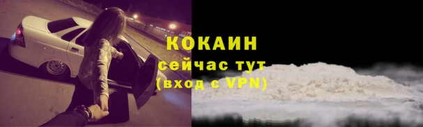 дживик Осинники